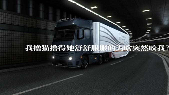 我撸猫撸得她舒舒服服的为啥突然咬我？