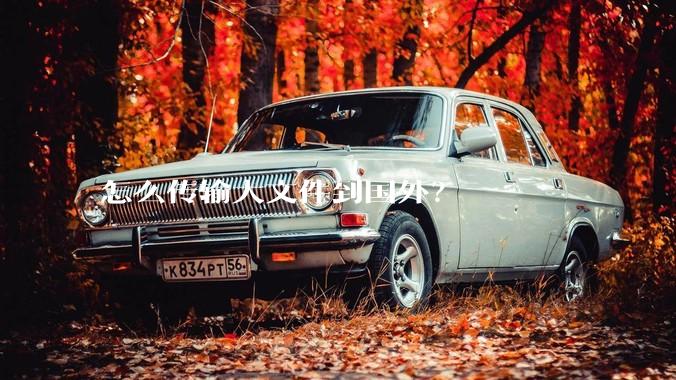 怎么传输大文件到国外？