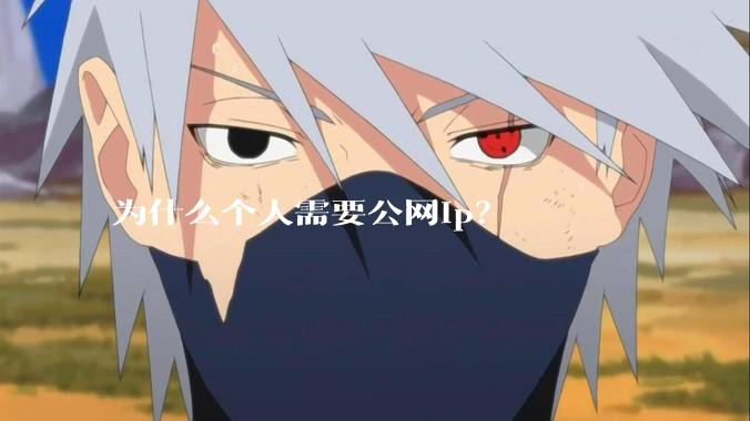 为什么个人需要公网ip？