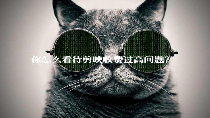 你怎么看待剪映收费过高问题？
