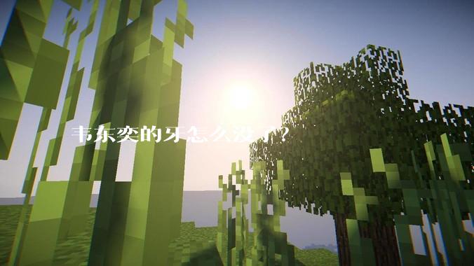 韦东奕的牙怎么没了？