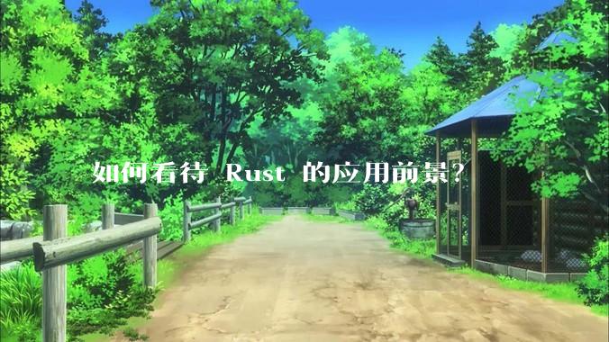 如何看待 Rust 的应用前景？