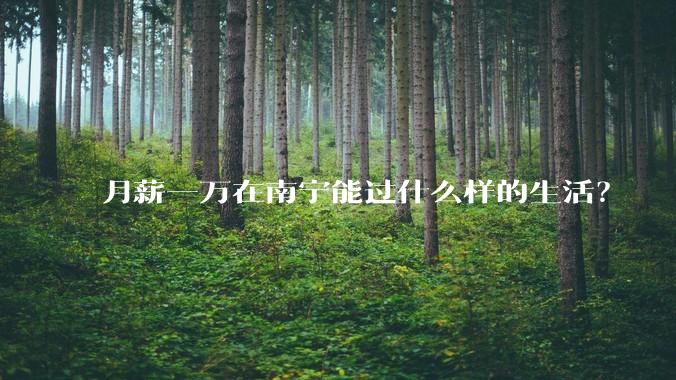月薪一万在南宁能过什么样的生活？