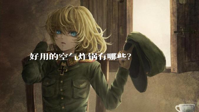 好用的空气炸锅有哪些？
