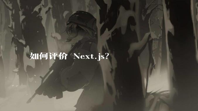 如何评价 Next.js？