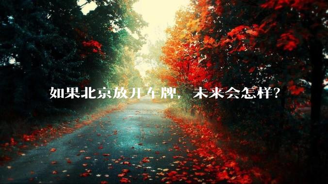 如果北京放开车牌，未来会怎样？