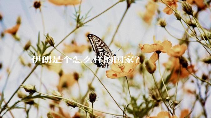 伊朗是个怎么样的国家？