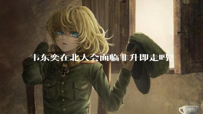 韦东奕在北大会面临非升即走吗？