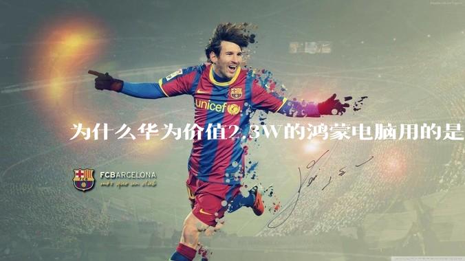 为什么华为价值2.3W的鸿蒙电脑用的是美国西数的中低固态硬盘？？