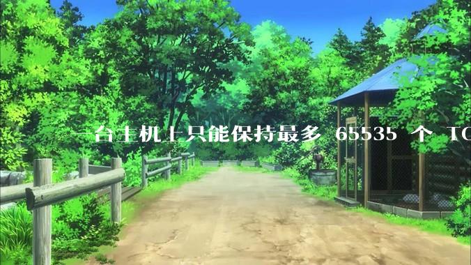 一台主机上只能保持最多 65535 个 TCP 连接吗？