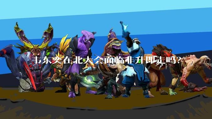 韦东奕在北大会面临非升即走吗？