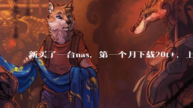 新买了一台nas，第一个月下载20t+，上传5+，不会被网警盯上吧?