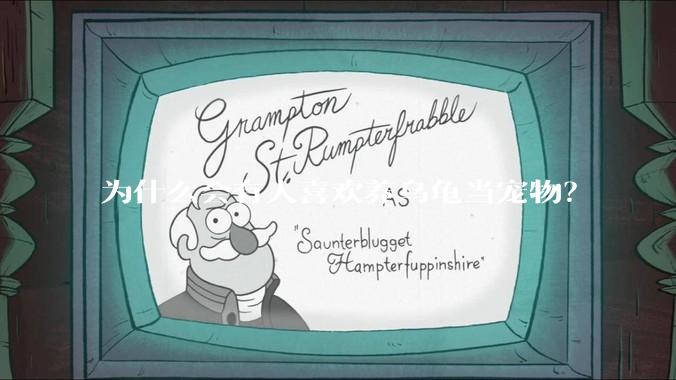 为什么会有人喜欢养乌龟当宠物？