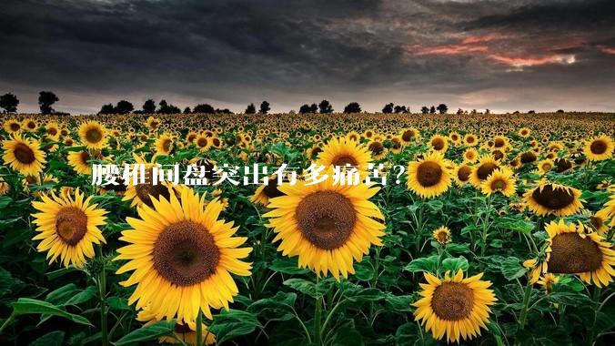 腰椎间盘突出有多痛苦？